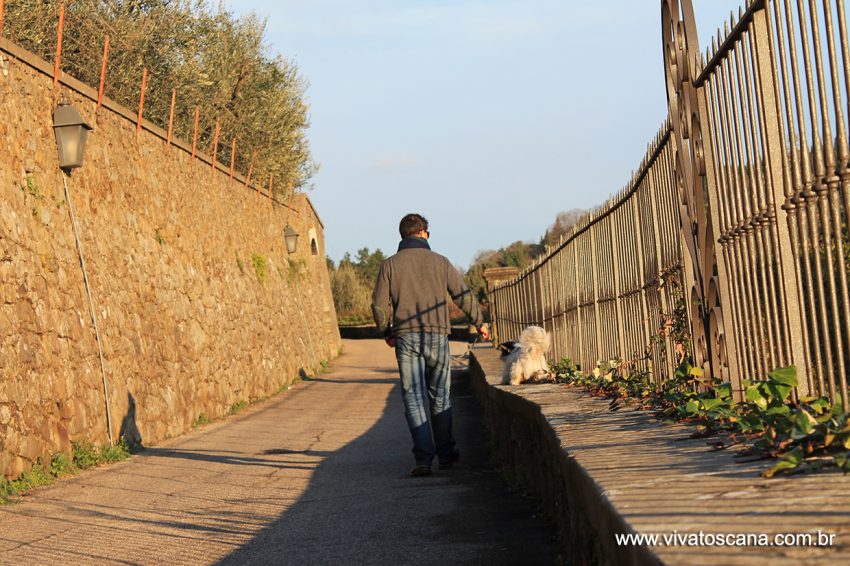 fiesole-19