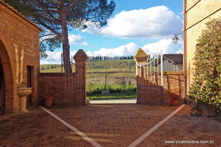 winetour-brunello-di-montalcino-07